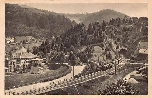 L345 Deutschland Triberg Dampfbahn Eisenbahn Wald Vintage Postkarte