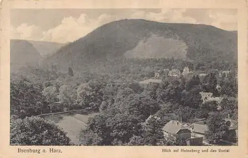 L016 Deutschland 1917 Ilsenburg Harz Meineberg Ilsetal alte Postkarte