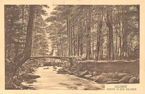 L197 Deutschland Wildbad Partie in den Anlagen Brücke Vintage Postkarte
