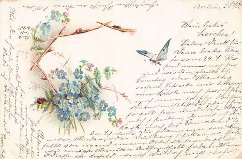 Frühlingsgrüße 1902 Vergissmeinnicht Blumen Schmetterling Marienkäfer Vintage Postkarte