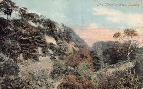 A919 England 1905 The Wren's Nest Dudley Vintage Postkarte