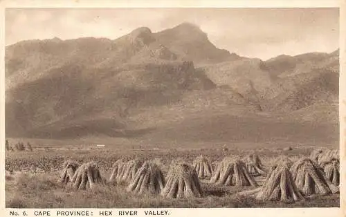 A930 Südafrika Kap Provinz Hex River Valley Vintage Postkarte