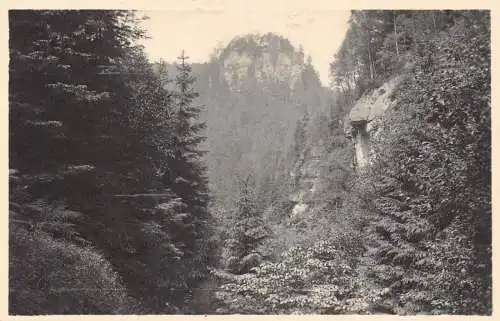 L155 Germany Baerengarten mit Hockstein. alte Postkarte