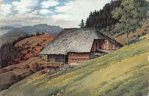 L207 Deutschland 1917 Feldpost 1. Weltkrieg Altes Haus Traditioneller Wald Vintage Postkarte