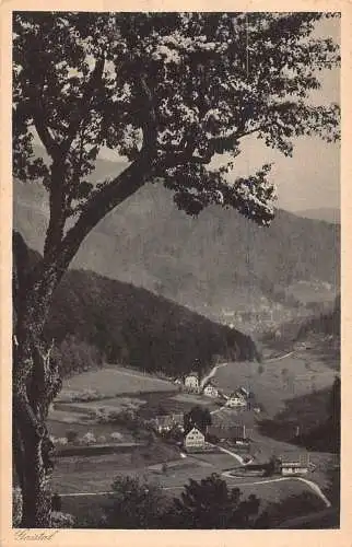 L159 Deutschland 1928 Gaistal bei Bad Herrenalb Vintage Postkarte