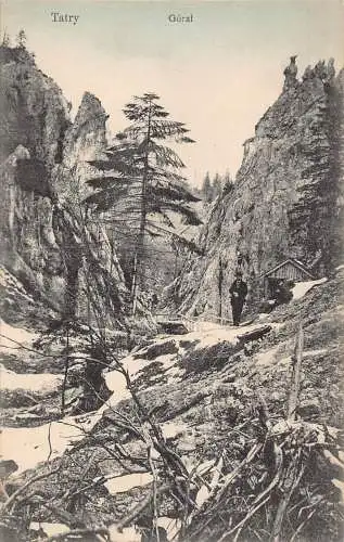 A939 Slowakei Tatry Goral Tatra Gebirge Vintage Postkarte