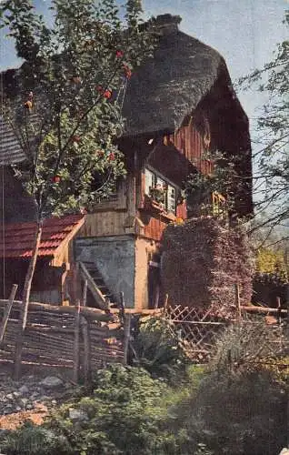 L217 Deutschland Schwarzwaldhaus Apfelbaum Heu Vintage Postkarte