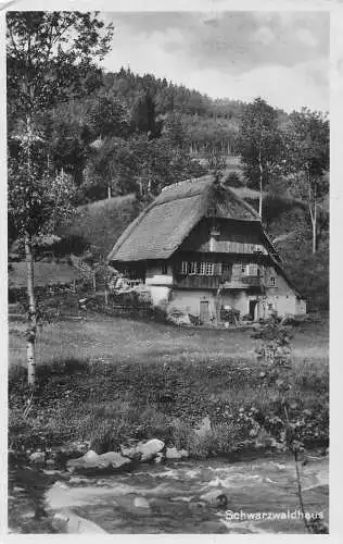 L217 Deutschland Schwarzwaldhaus Haus Wald Fluss RPPC Vintage Postkarte