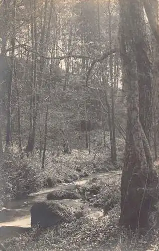 L217 Deutschland 1901 Dahmsdorf Müncheberg Flusswald Vintage Postkarte