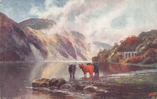 A944 Schottland Pass von Brander Lake Cattle Ox Vintage Postkarte