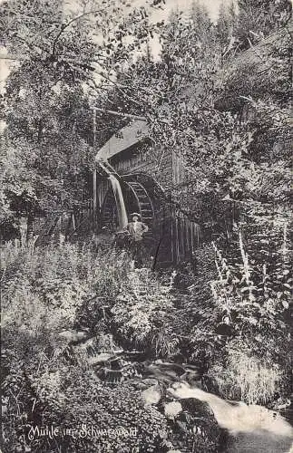 L217 Deutschland 1913 Mühle im Schwarzwald Wassermühlenmann Vintage Postkarte