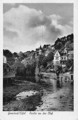 L214 Deutschland Gemuend Eifel Partie an der Olef Vintage Postkarte