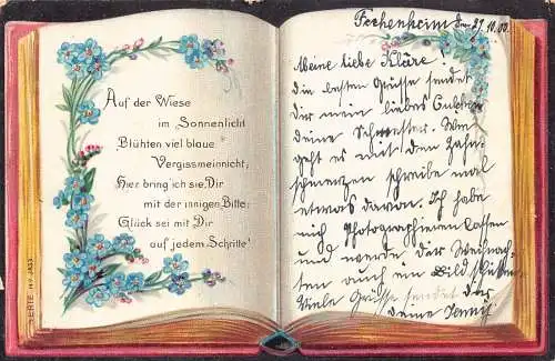 Vergiss mich 1900 geöffnet Buch Vergissmeinnicht Blumen Vintage Postkarte