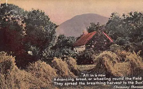 A950 England Alles in einer Reihe Gedicht Sommer Thomson Vintage Postkarte