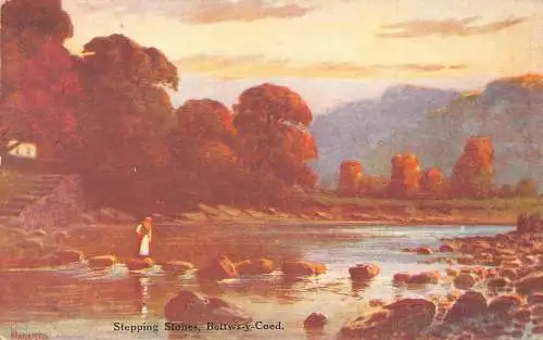A953 Wales Bettws-y-Coed Stepping Stones Vintage Postkarte