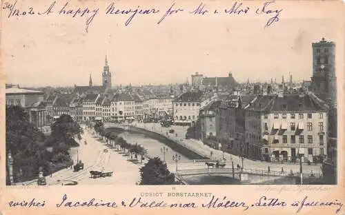 C045 Dänemark Udsigt Borstaarnet 1902 alte Postkarte