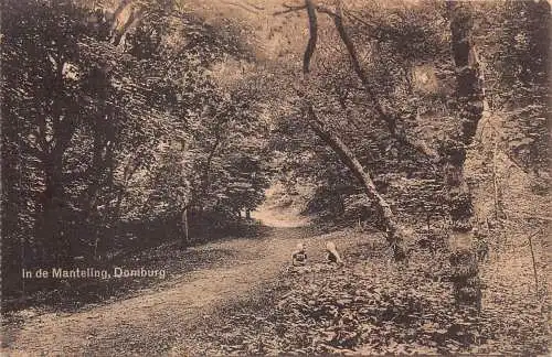 Niederlande 1927 In de Manteling Domburger Wald alte Postkarte