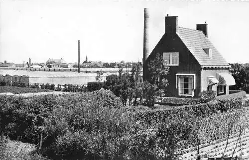 Niederlande 1972er Jahre - Gravenzande Tuindersbedrijf Haus Industrie Vintage Postkarte