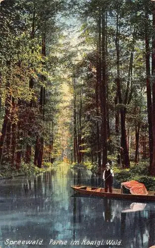 L214 Deutschland Spreewald Partie im Königl Wald Waldboot Vintage Postkarte