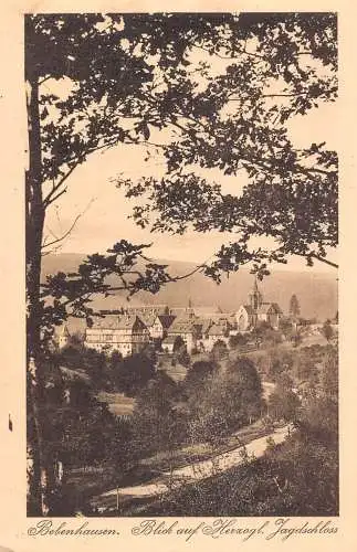 L214 Deutschland Bebenhausen Blick auf Herzogl Jagdschloss Vintage Postkarte