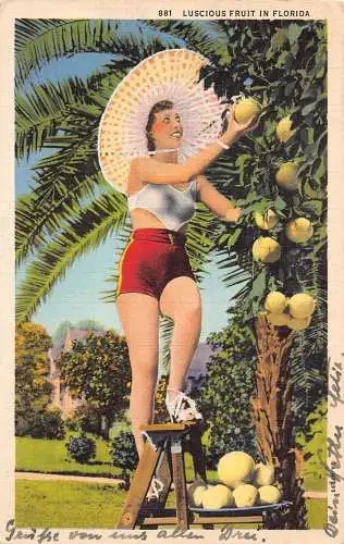 L038 US 1937 Pin up Girl Florida Vintage Postkarte