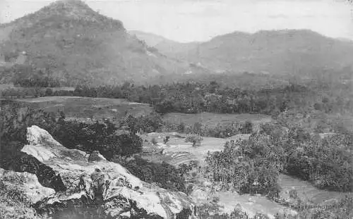 L380 Ceylon Sri Lanka Eisenbahn nach Kandy Wald Vintage Postkarte