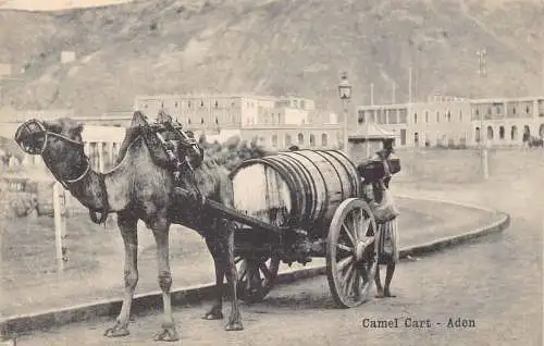 L380 Yemen Aden Camel Cart Barrick Vintage Postkarten
