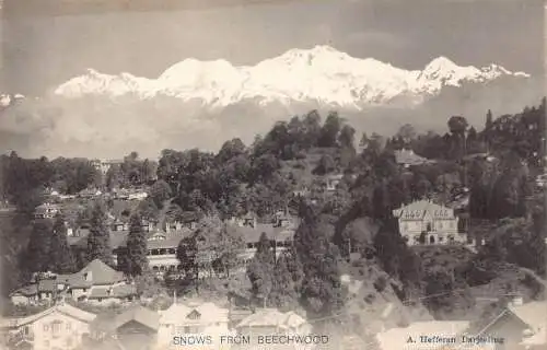 L381 Indien Darjeeling Panoramablick Berg Schnee aus Buchenholz Postkarte