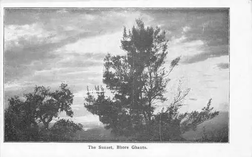 L381 Indien The Sunset Bhore Ghauts Tree Vintage Postkarte