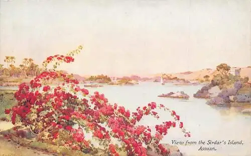 L382 Ägypten Ansicht von Sirdars Insel Assuan Vintage Postkarte