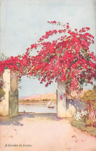 L384 Ägypten Garten in Luxor Blumen Nil Gemälde signiert Ella du Cane Postkarte