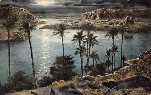 L383 Ägypten Katarakt D'Assouan Mondschein Bäume Fluss Vintage Postkarte