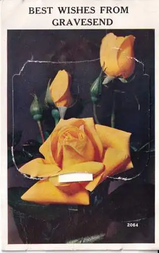 A964 Neuheit Leporello 1954 Rosen Beste Wünsche aus Gravesend Gardens Postkarte