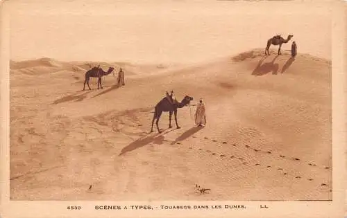 A963 Marokko Szenen et Typen Touarges dans les Dunes Kamele Vintage Postkarte