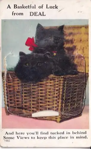 A964 Neuheit Leporello Glückskorb von Deal Black Cats Castle Postkarte