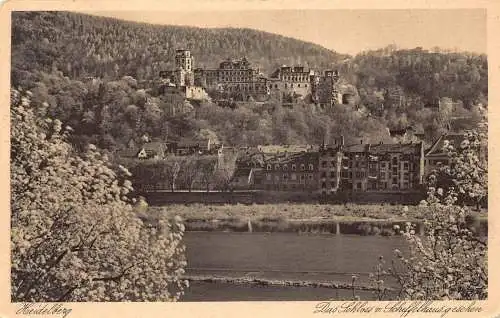 Deutschland Heidelberger Schloss und Scheffelhaussehen Vintage Postkarte