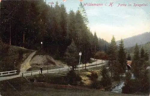 Deutschland Wildemann i H Partie im Spiegeltal Vintage Postkarte