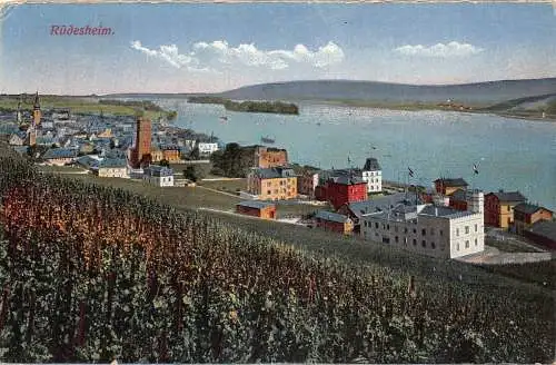 Deutschland Gesamtansicht Rüdesheim Vintage Postkarte