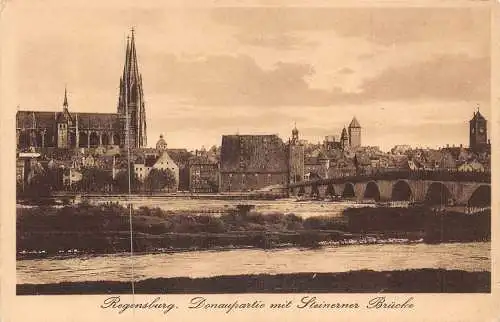 Deutschland Regensburg Donau Fluss Blick Steinerner Brücke Vintage Postkarte