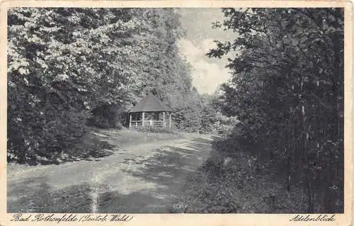 Deutschland 1942 Bad Rothenfelde TW Adelenblick Vintage Postkarte