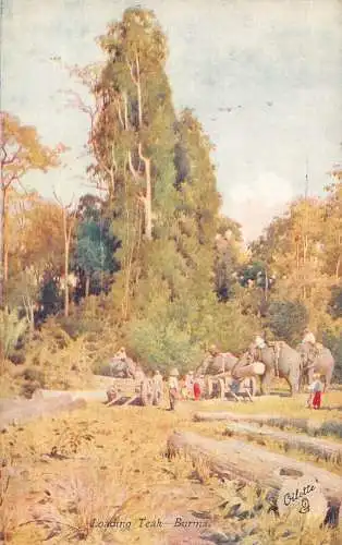 L255 Burma Myanmar Loading Teak Elephants Postkarte