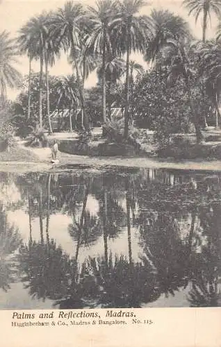 L376 Indien Palmen und Reflexionen Madras im See Vintage Postkarte