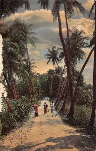 A973 Ceylon Sri Lanka By Path at Moonlight Kinder Vintage Postkarte