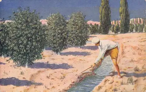 A967 Israel Bewässerung für Jaffa Orangen Native Boy Vintage Postkarte