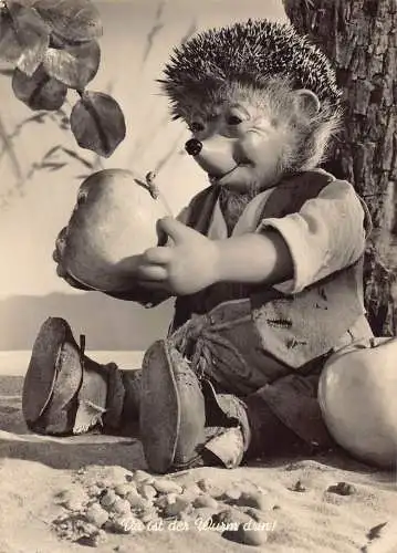 A150 Foto Echt 1961 Igel Mecki hält Apfel mit Wurm Vintage Postkarte