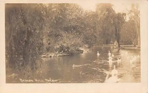 A975 Canada Beacon Hill Park Swans RPPC Vintage Postkarte