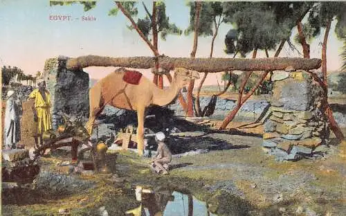 A940 Ägypten Sakia Camel Native Boy Vintage Postkarte