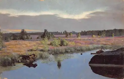 A147 Landschaft 1912 Fluss Blumenfeld bewölkter Himmel Wald Vintage Postkarte