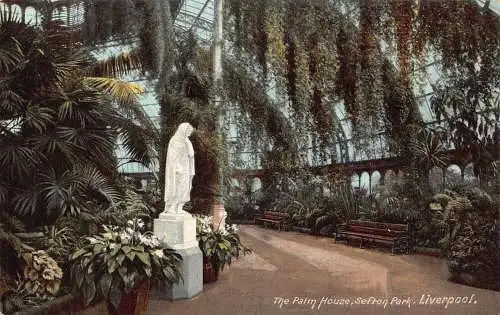 A948 England Liverpool Palm House Sefton Park Vintage Postkarte
