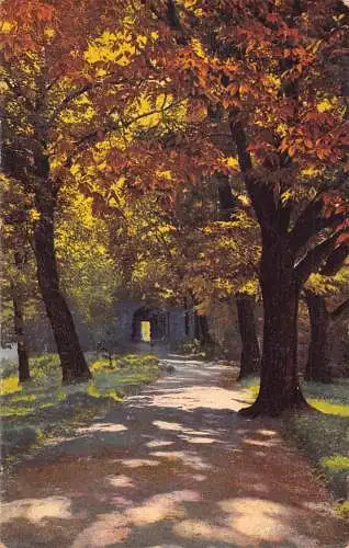 A146 Gemälde Herbststimmung in Meissenser Bäumen Vintage Postkarte